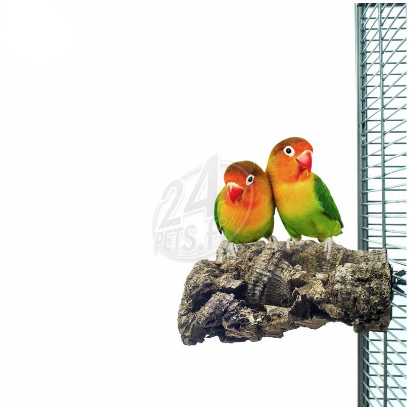 back-zoo-nature-corky-chew-small