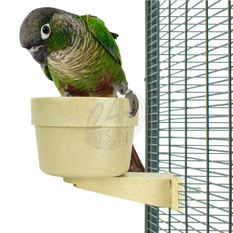 back-zoo-nature-easy-lock-feeding-bowl